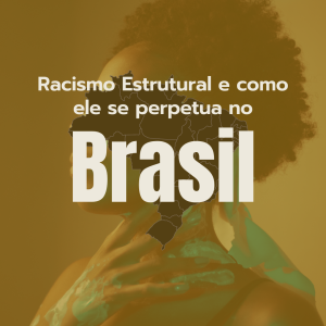 palestra-racismo-estrutural-como-ele-se-perpetua-no-brasil3